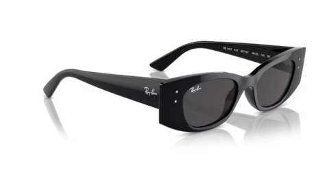 ray ban rb 4427 667787 49 güneş gözlüğü
