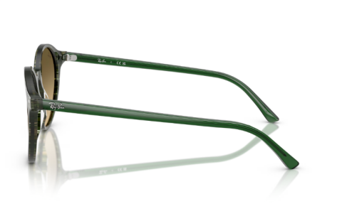 rayban RB2230 14210A 53 güneş gözlüğü