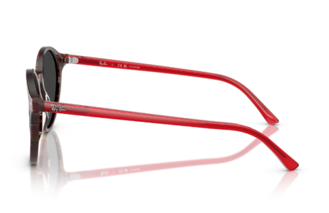 raybanRB 2230 141948 51 güneş gözlüğü